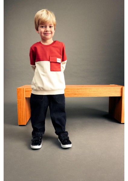 Erkek Bebek Bisiklet Yaka Renk Bloklu İçi Yumuşak Tüylü Sweatshirt A9753A523AU fiyatları