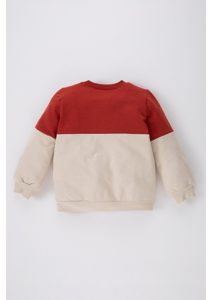 Erkek Bebek Bisiklet Yaka Renk Bloklu İçi Yumuşak Tüylü Sweatshirt A9753A523AU