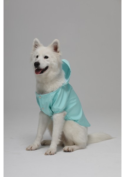Köpek Su Geçirmez Yağmurluk Rüzgarlık