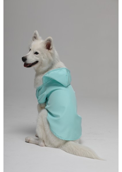 Köpek Su Geçirmez Yağmurluk Rüzgarlık