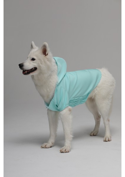 Köpek Su Geçirmez Yağmurluk Rüzgarlık