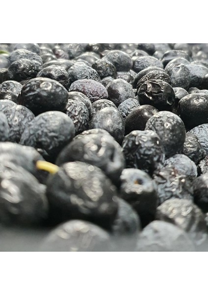 İZORYA Taze Toplanmış Ham Mut Siyahı Zeytini Selelik Çevirmelik 3kg 3 Numara