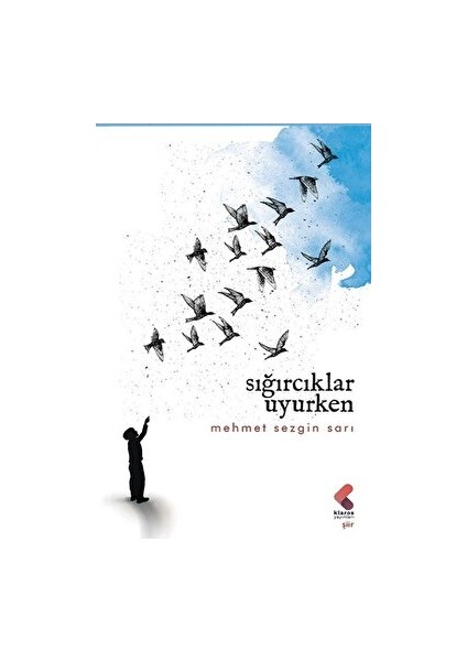 Sığırcıklar Uyurken - Mehmet Sezgin Sarı