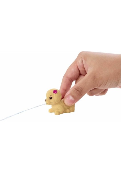 HKD80 Skipperın Su Parkı Eğlencesi Oyun Seti fırsatları