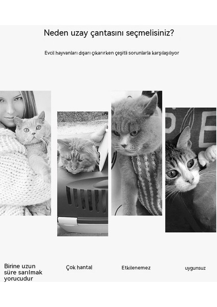 Qıchu Moda Şeffaf Kedi Çantası Tote Omuz Nefes Köpek Outing Omuz Crossbody Çanta Katlanabilir Çok Kullanımlı Pet Çanta (Yurt Dışından)