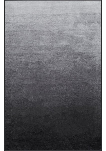 Dijital Baskı Yıkanabilir Kaymaz Taban Salon Halısı Rvg1169 fiyatları