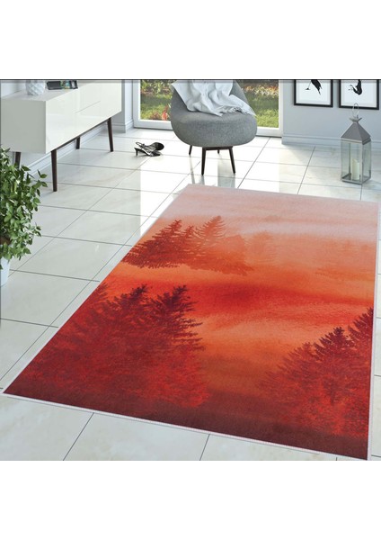 Dijital Baskı Yıkanabilir Kaymaz Taban Salon Halısı Rvg1438