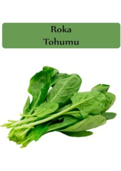 Roka Tohumu 10GR