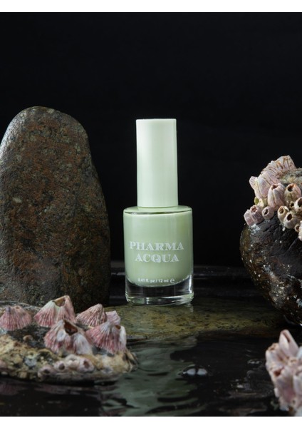 Fresh Nail Varnish 12 ml Oje - 101