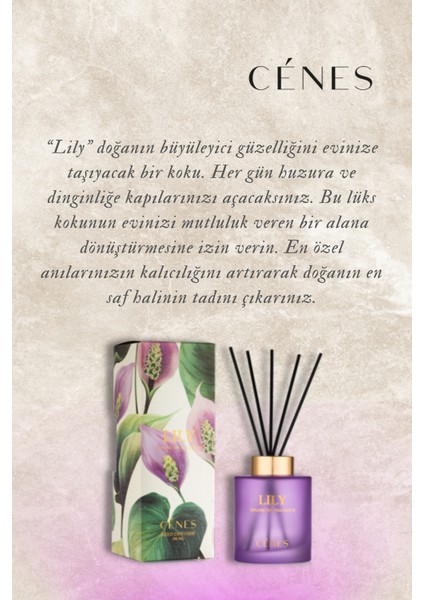 Lily Reed Diffuser 200ML- Çubuklu Oda Kokusu