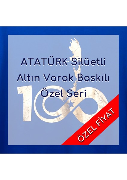 Yaldızlı Atatürk Silüetli Özel Tasarım Baskılı Bisiklet Yaka 100% Pamuklu Tişört Antrasit