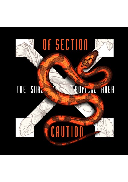 Of Section Snake Illüstratif Baskılı Oversize Hoodie Sweatshirt Siyah