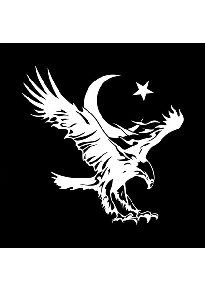 Kartal Ay Yıldız Tasarım Baskılı Bisiklet Yaka 100% Pamuklu Tişört Siyah modelleri