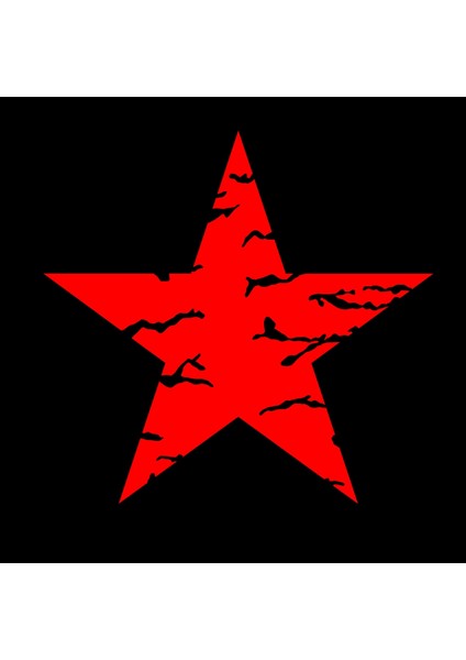 Red Star Tasarım Baskılı Bisiklet Yaka 100% Pamuklu Tişört Siyah