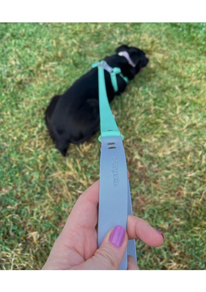 Su Geçirmez Biothane Köpek Gezdirme Kayışı Mint Yeşili fiyatları