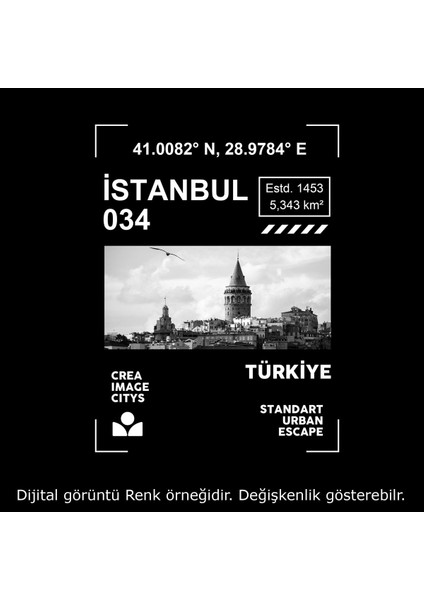 Istanbul Şehir Bisiklet Yaka 100% Pamuklu Dijital Baskılı Tişört Siyah-2