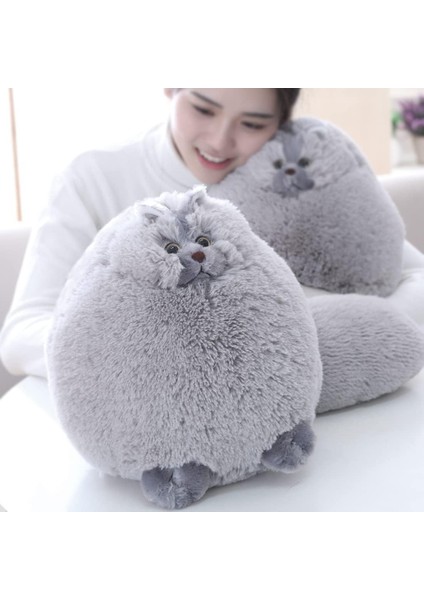 Çocuklar Kedi Doldurulmuş Hayvanlar Peluş Kedi Oyuncak Erkekler Için Doğum Günü Hediyeleri, Peluş Kedi Doldurulmuş Hayvanlar Bebek Bebek, Şişman Gri Peluş Kedi Hayvan Oyuncak (Gri, (Yurt Dışından)