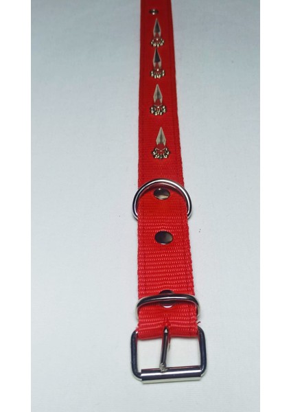 Çivili Köpek Tasması 60X3 cm fiyatları