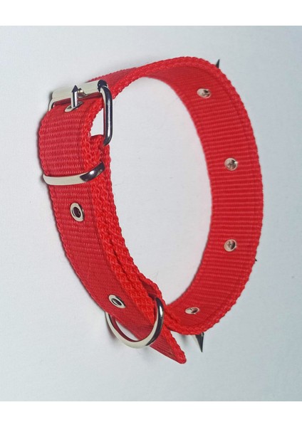 Çivili Köpek Tasması 60X3 cm modelleri
