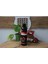 Curly Fresh Parfümlü Pet Şampuanı 250 ml 4