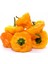 Sarı Jamaika Acı Biber Tohumu Yellow Scotch Bonnet Jamaican 3
