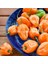 Turuncu Habanero Biber Tohumu Acı 1