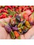 Mor Kaplan Acı Biberi Tohumu Purple Tiger Hot Pepper 3