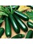 Yaz Kabağı Tohumu Geleneksel Black Beauty Summer Squash 1