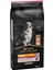 Somonlu 14 kg Medium Large Yaşlı Kuru Senior +7 Köpek Maması 1