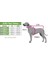 Beyaz Kareli Pembe Dişi Kedi Köpek Kıyafeti Elbisesi XSmall/XS/beden 0 5