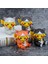 Pet Küçük S Versiyonu Turuncu Kedi Ci Huamao Cos Pikachu Kutulu Şekil Modeli (Yurt Dışından) 2