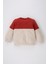 Erkek Bebek Bisiklet Yaka Renk Bloklu İçi Yumuşak Tüylü Sweatshirt A9753A523AU 7