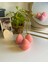 Stawberry Soywax Candles 1