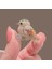 Saksağan Birdie Pimi Korsaj Aksesuarı (Yurt Dışından) 2