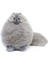 Çocuklar Kedi Doldurulmuş Hayvanlar Peluş Kedi Oyuncak Erkekler Için Doğum Günü Hediyeleri, Peluş Kedi Doldurulmuş Hayvanlar Bebek Bebek, Şişman Gri Peluş Kedi Hayvan Oyuncak (Gri, (Yurt Dışından) 1