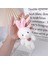Mini Peluş Doldurulmuş Oyuncak Anahtarlık Sırt Çantası, Peluş Anahtarlık Oyuncaklar Yumuşak Pamuk Anahtarlık Oyuncak Hediye Mezuniyet Partisi Iyilik Çanta Dıy Anahtarlık El Sanatla (Yurt Dışından) 5