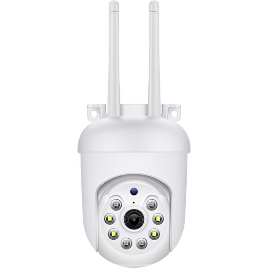 Samuel Nugent 1080P Hd Akıllı Ağ Wifi Ev Gözetleme Kamerası Dome Kamera (Yurt Dışından)