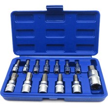 Sourcingasia Fs-Hex Bit Lokma Seti, Imperial Hex Bit Lokma Seti, 13 Parçalı Set, S2 ve Cr-V Çelik, 1/4 Inç, 3/8 Inç ve 1/2-Inç Sürücü (Yurt Dışından)