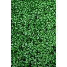 Fesleğen Çiçek Dekoratif Yapay Bitki Duvar Kaplama Panel Şimşir Tabaka 40X60 cm Yeşil Dikey Bahçe