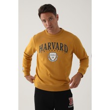 Harvard Koyu Hardal Erkek Sweatshirt