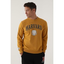 Harvard Koyu Hardal Erkek Sweatshirt