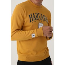 Harvard Koyu Hardal Erkek Sweatshirt