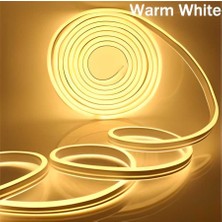 Clan 5 Metre Tak Çalıştır 220V Günışığı Neon LED