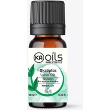 Kaoils Pure Essence Okaliptus Uçucu Yağı 10 ml