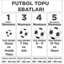 Nike Saha Takımı Beyaz Futbol Topu DH9796-100