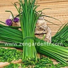 Zengarden Onion Chives Frenk Soğanı Tohumu Soğan Otu Ince Yapraklı