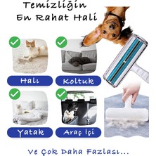 Beatitude Hazneli Kedi Köpek Evcil Hayvan Tüy Kıl Temizleyici Gırgır Toz Toplayıcı Yeni Nesil Gırgır