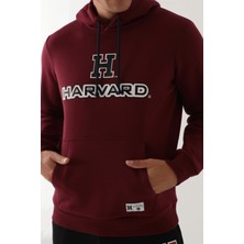 Harvard Koyu Kızıl Kahve Erkek Sweatshirt