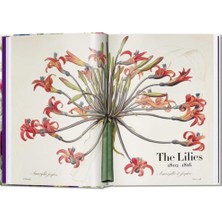 The Book Of Flowers