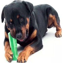 Köpek Diş Fırçası Büyük Boy